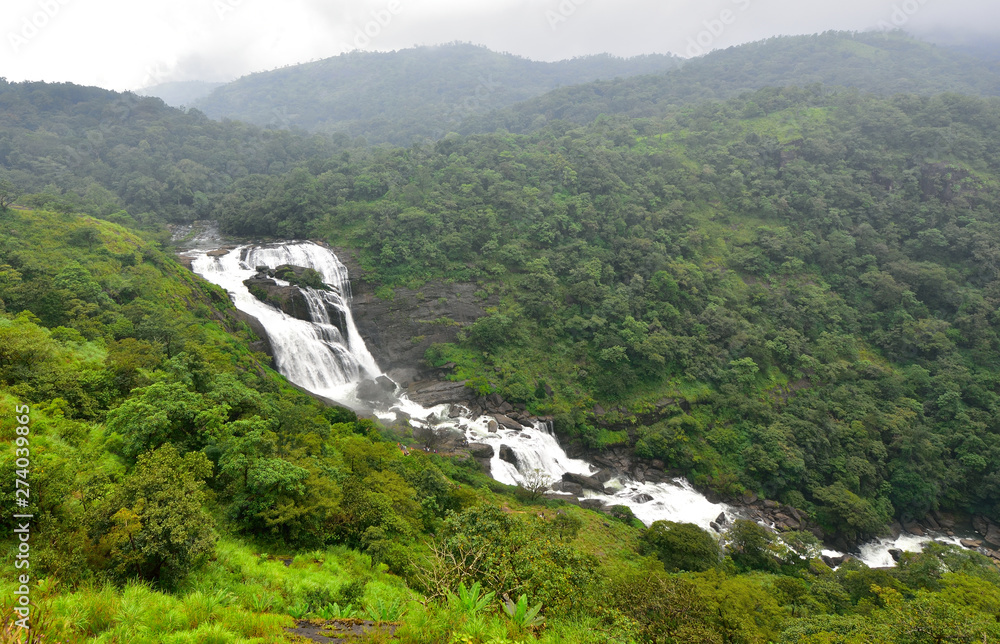 Mallalli Falls Forest View - Waterfall surrounded by dense Western Ghats forest