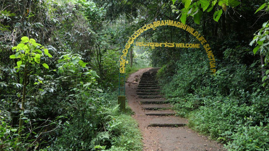 Brahmagiri Wildlife Sanctuary - Biodiversity Hotspot Karnataka