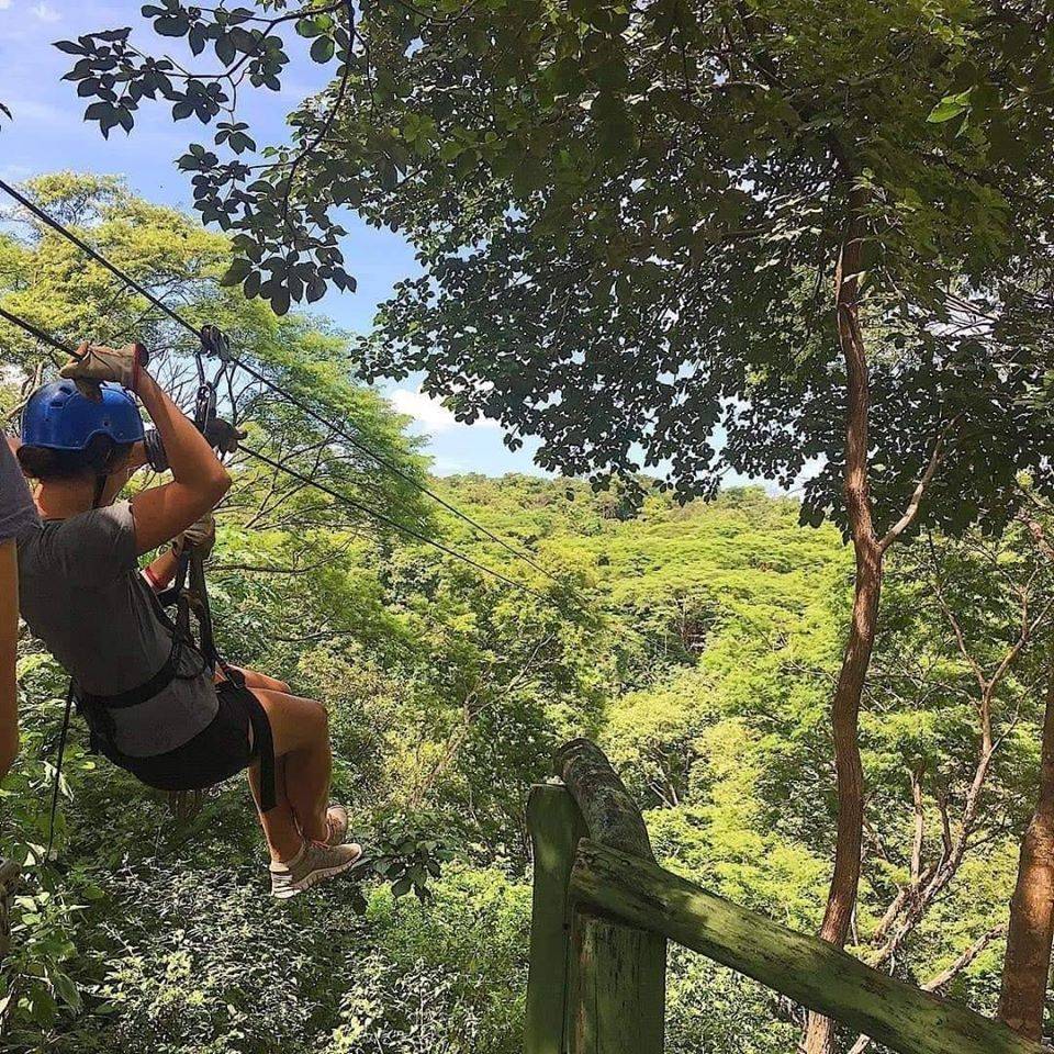 Zipline Adventure - Soar above coffee plantations