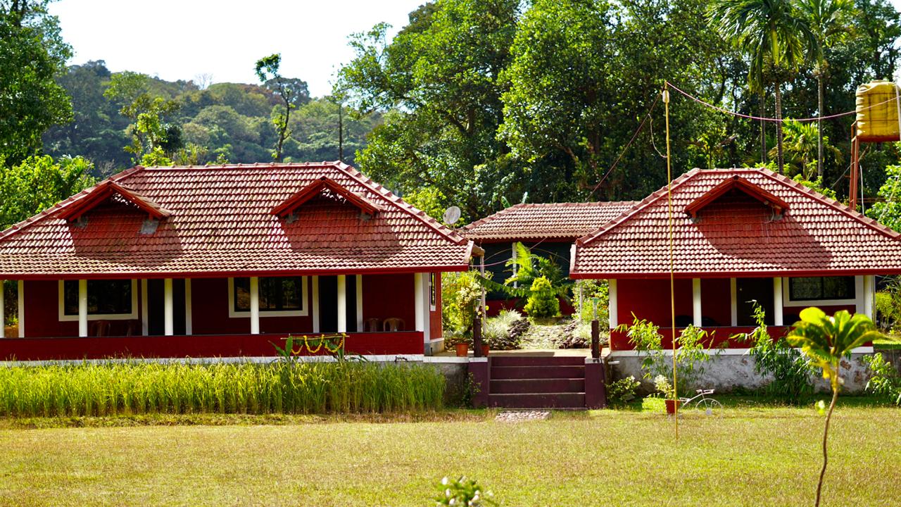 Tent Stay | Campfire | Near River |Activities Group Stay| Coorg Homestay 3
